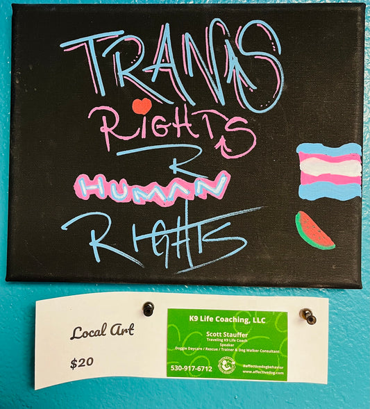 "Trans Rights are Human Rights" on Canvas